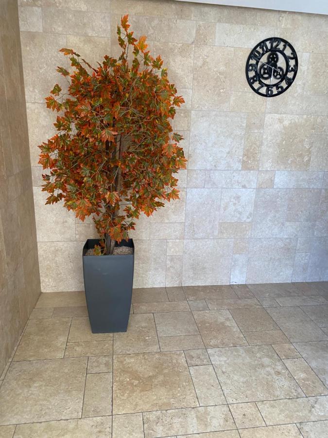 Apartamento Mobersham'S House In Acre Exterior foto